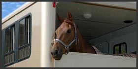 Horse Box Repair and MOT
